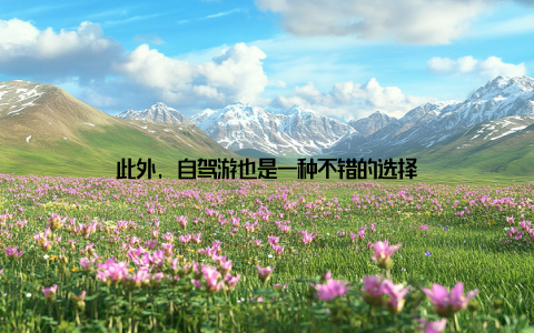 此外, 自驾游也是一种不错的选择