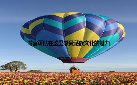 游客可以在这里感受藏族文化的魅力