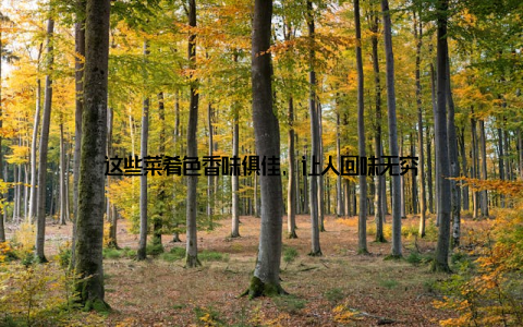 这些菜肴色香味俱佳, 让人回味无穷