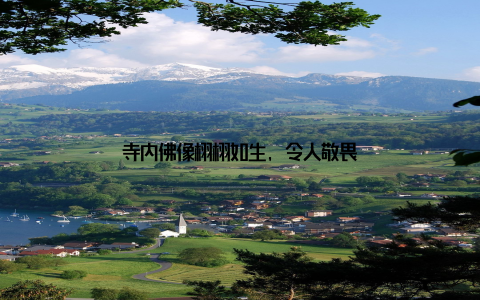 寺内佛像栩栩如生, 令人敬畏