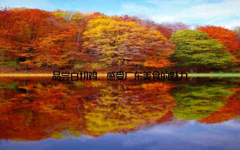 品尝白切鸡, 感受广东美食的魅力